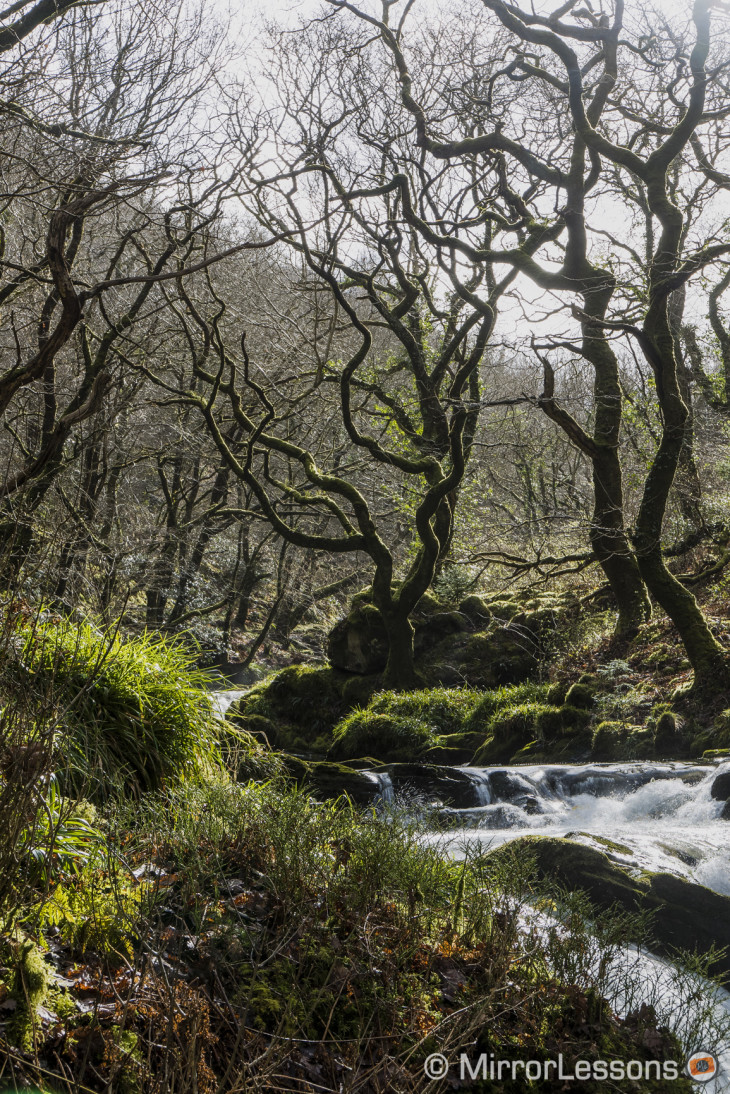 Exploring the ancient river gorge of Nant Gwernol – A Panasonic Lumix ...